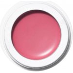 (M)anasi 7 Přírodní multilíčidlo Dianthus 5 g – Zboží Dáma