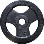 FitnessLine Kotouč olympijský litinový 50 mm - 15 kg – Hledejceny.cz