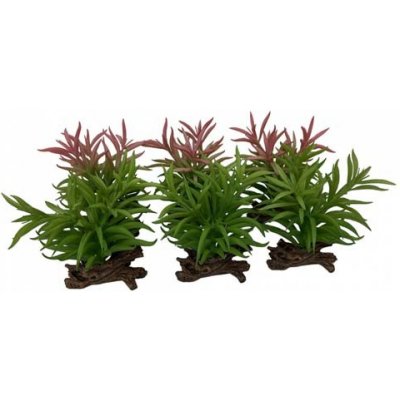 Europet Bernina Terra Della Crassula M mix 16 cm – Zboží Mobilmania