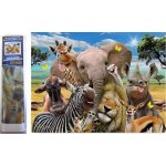 Norimpex Diamantové malování Safari selfie 30 x 40 cm – Sleviste.cz