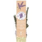 BIO Levandule Chodouňská SAZENICE levandule lékařská Angustifolia Munstead – Sleviste.cz