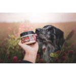 Marp Holistic - Pivovarské kvasnice 100 g – Hledejceny.cz