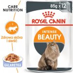 Royal Canin Intense Beauty Jelly 12 x 85 g – Hledejceny.cz