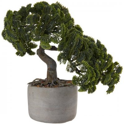 ASA Selection Bonsai cypřiš 24,5 cm – Hledejceny.cz