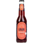 LokLok Kombucha Malina 330 ml – Zboží Dáma