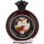 Shunga Body Painting 100 ml šampaňské s jahodami – Hledejceny.cz