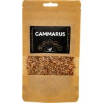 UGF Sušený gammarus 20 g – Zbozi.Blesk.cz
