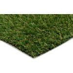 Europe Grass Koberec umělá tráva Robina New- zelený 2m (cena za m2) – Zboží Dáma