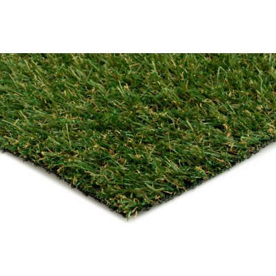 Europe Grass Koberec umělá tráva Robina New- zelený 2m (cena za m2) – Zboží Dáma