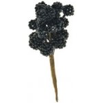 Flora Černé maliny na zápichu Dekorace 16cm – Hledejceny.cz