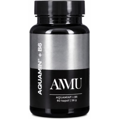 AMMU Hořčík Aquamin® + B6 60 kapslí – Hledejceny.cz
