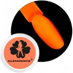 Allepaznokcie neónový pigment oranžový 05 – Hledejceny.cz