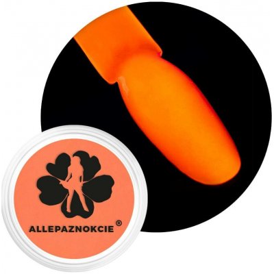 Allepaznokcie neónový pigment oranžový 05 – Hledejceny.cz