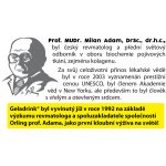 Perpetuum Geladrink nápoj černý rybíz 500 g – Hledejceny.cz