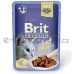 Brit cat Premium Fillets jelly Beef 85 g – Zboží Mobilmania