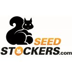 Seedstockers CBD Critical XXL AUTO semena neobsahují THC 5 ks – Sleviste.cz