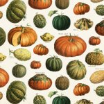 Papírový ubrousek Pumpkins – Hledejceny.cz