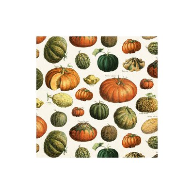 Papírový ubrousek Pumpkins – Hledejceny.cz