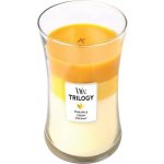 WoodWick Trilogy Fruits of Summer 609,5 g – Zboží Dáma