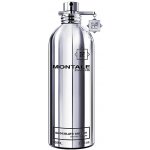 Montale Chocolate Greedy parfémovaná voda unisex 100 ml – Hledejceny.cz