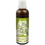 Naděje Mgr.Podhorná Chlamysan Forte 50 ml – Hledejceny.cz