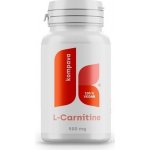 Kompava L-Karnitín 500 60 kapslí – Sleviste.cz