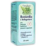Favea Boswellia s chondroitinem a kolagenem 30 tablet – Sleviste.cz