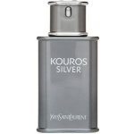 Yves Saint Laurent Kouros Silver toaletní voda pánská 100 ml – Sleviste.cz