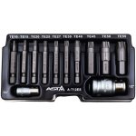 Sada bitů na vytahování poškozených TORX šroubů, 12 ks, Asta A-T12ES – Hledejceny.cz