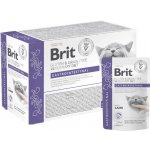 Brit Veterinary Diet Cat Gastrointestinal Fillets in Gravy 12 x 85 g – Sleviste.cz