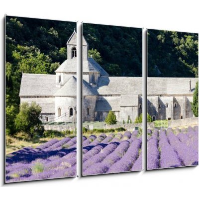 Obraz 3D třídílný - 105 x 70 cm - Senanque abbey with lavender field, Provence, France Senanque opatství s levandulem pole, Provence, Francie – Zbozi.Blesk.cz