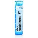 RHUS TOXICODENDRON POR 9CH GRA 4G – Hledejceny.cz