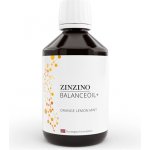 Zinzino BalanceOil+ 300 ml citron – Hledejceny.cz