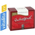 Imunotop Anthogenol OPC přírodní antioxidant 90 kapslí – Hledejceny.cz