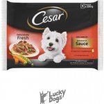 Cesar Selection v omáčce 4 x 100 g – Zbozi.Blesk.cz