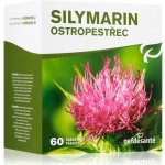 Nefdesanté Silymarin 60 tablet – Hledejceny.cz