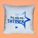 Sablio Polštář Tatínek 40x40 – Hledejceny.cz