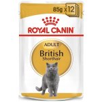 Royal Canin British Shorthair Gravy 12 X 85 g – Sleviste.cz