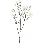 Magnolie větev Osaka bílá V123 cm – Sleviste.cz