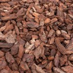 Kameny.cz Piniová kůra – Hledejceny.cz