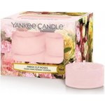 Yankee Candle Fresh Cut Roses 12 x 9,8 g – Zbozi.Blesk.cz