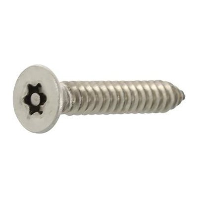 Pojistný vrut zápustná hlava 4.2x13 TX20 PIN, nerez A2 (100 ks) – Hledejceny.cz