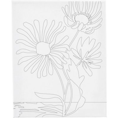 Creative Malířské plátno s předtiskem 24x30 cm VELKÁ KVĚTINA – Hledejceny.cz