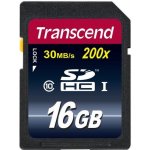 Transcend SDHC 16 GB Class 10 TS16GSDHC10 – Zbozi.Blesk.cz