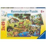 Ravensburger Zvířata v zoo lese nebo v domě 3 x 49 dílků – Sleviste.cz