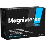Magnisteron Forte 30 tablet – Hledejceny.cz