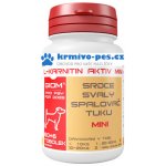 Giom L-karnitin Aktiv Mini 60 tbl – Hledejceny.cz
