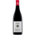 Franz Keller Pinot Noir Oberrotweil Baden 2021 suché 12,5 % 0,75 l (holá láhev) – Hledejceny.cz