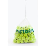 Tretorn X Trainer 72 ks – Zboží Dáma