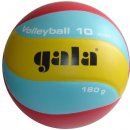 Gala Volleyball 10 BV 5651 S